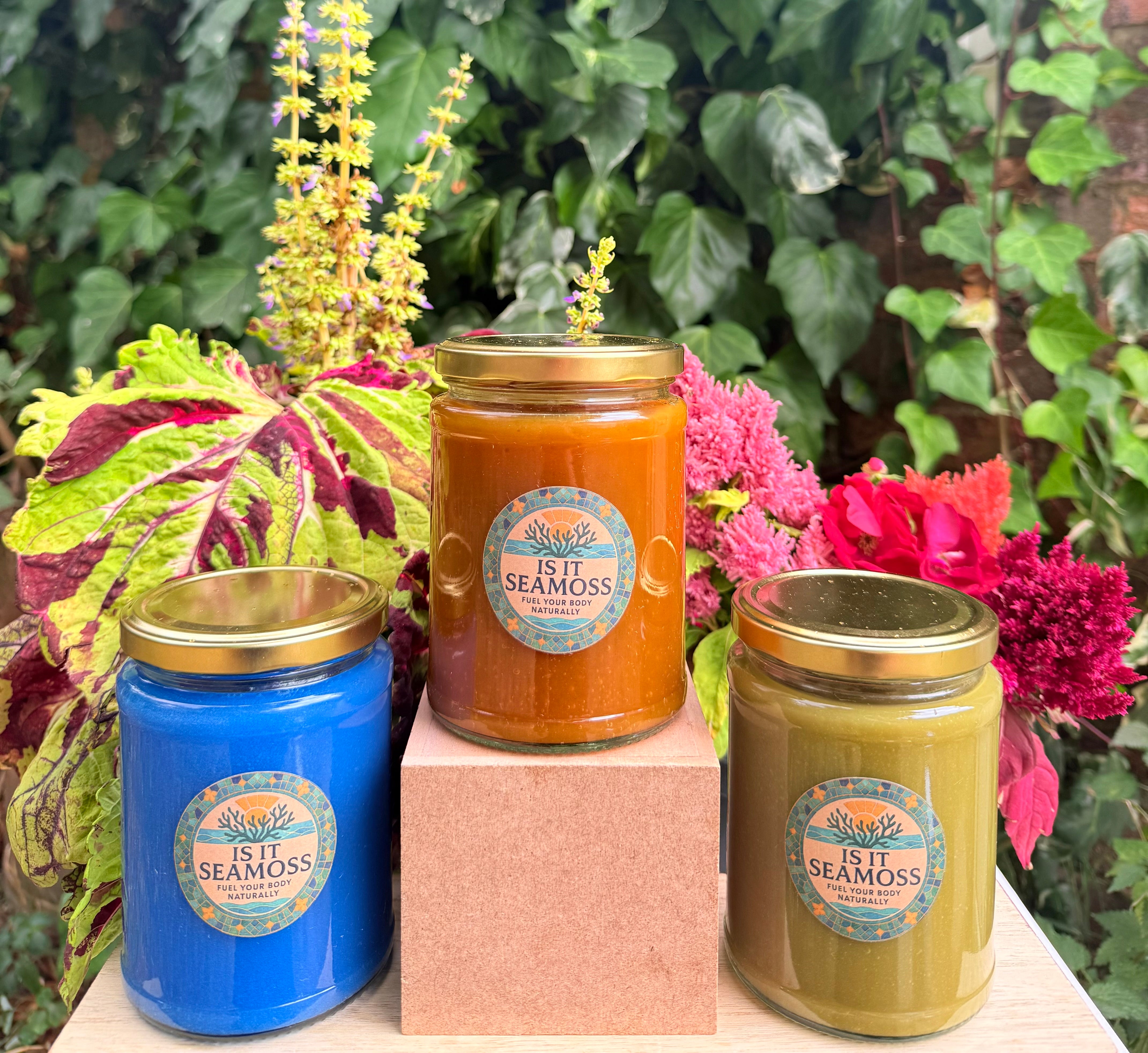 The Three Mossketeers